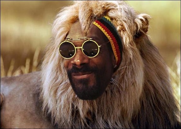 Snoop Lion