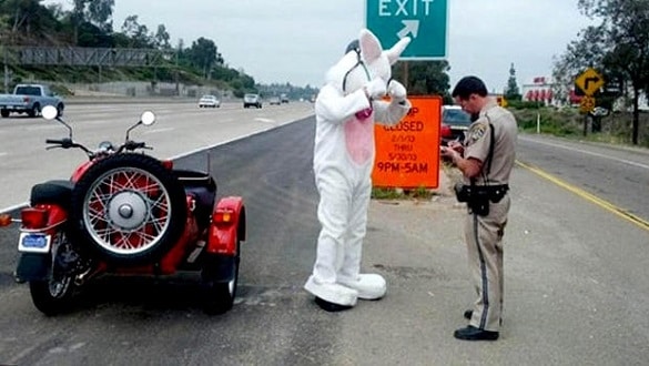 An Easter Bunny was pulled over by police for not wearing a helmet