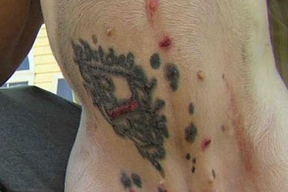 The tattoo includes the dog’s name and an emblem representing its blood line