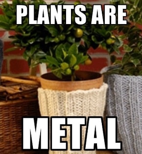 Plants love Metal