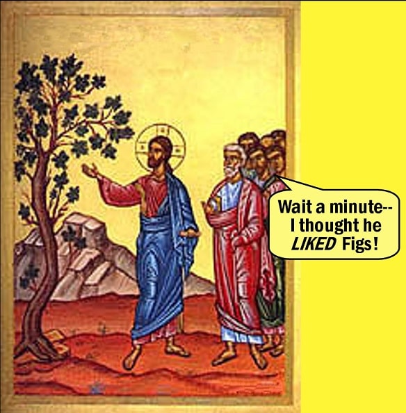 Jesus and the poor old fig tree