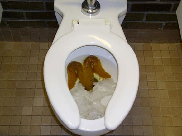 brown toilet seat