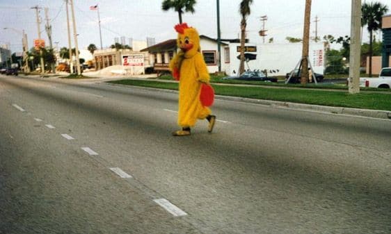 why-did-the-chicken-cross-the-road